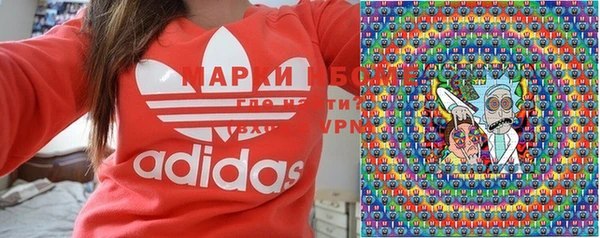индика Алзамай