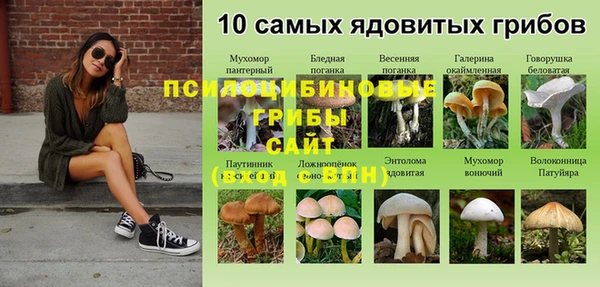 меф Алексин