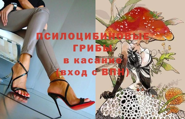 индика Алзамай